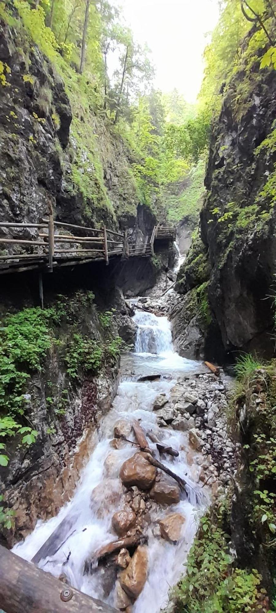 Blick Ins Grüne Apartamento Rossleithen