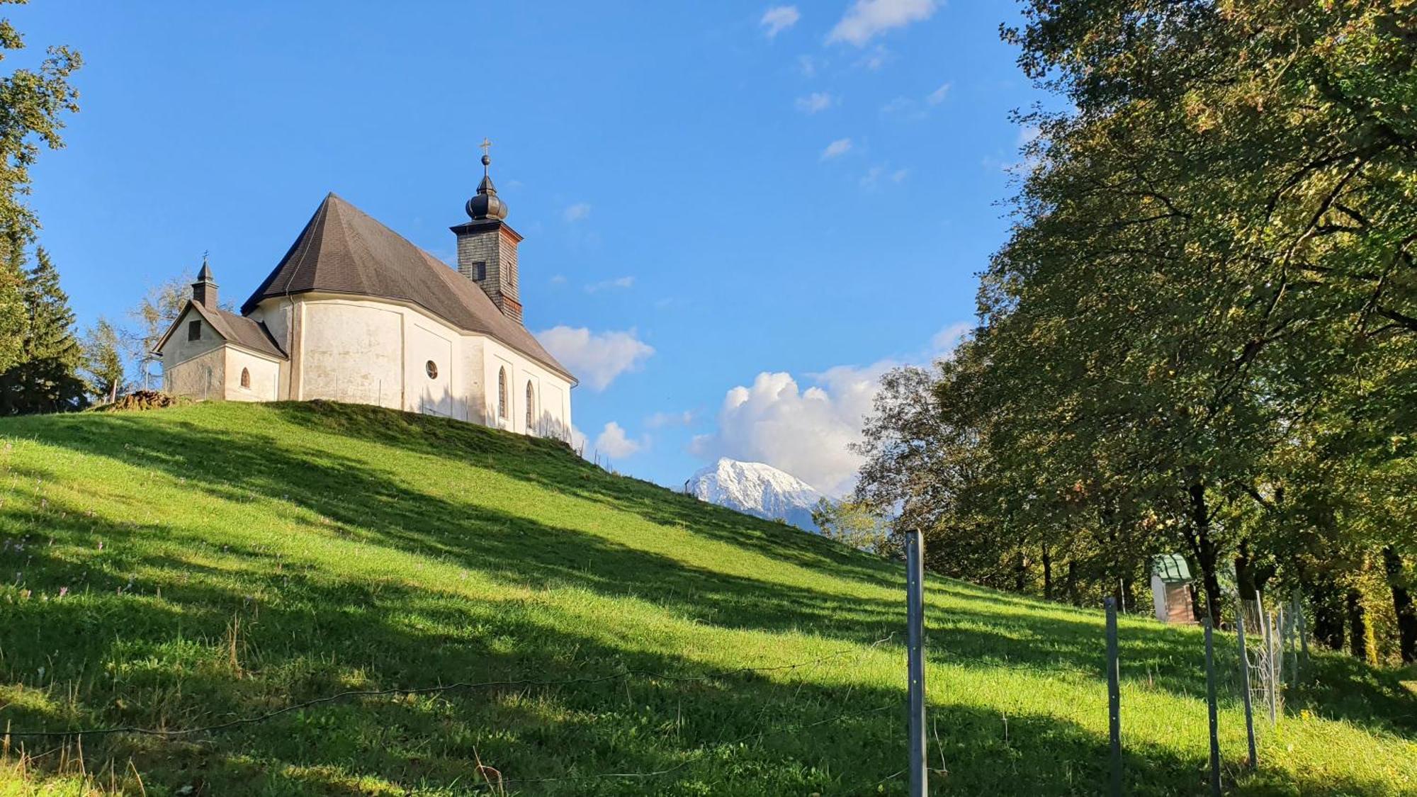 Blick Ins Grüne Rossleithen